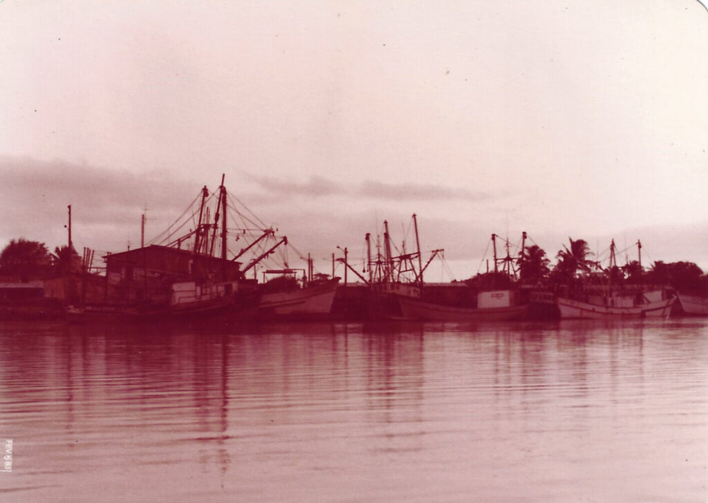 1cfa2b1d-a9e1-46b5-81ae-32f6f032d16d