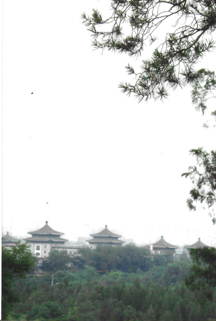 25bb3f2a-e83b-4aea-9d4e-56a64f66d6f7