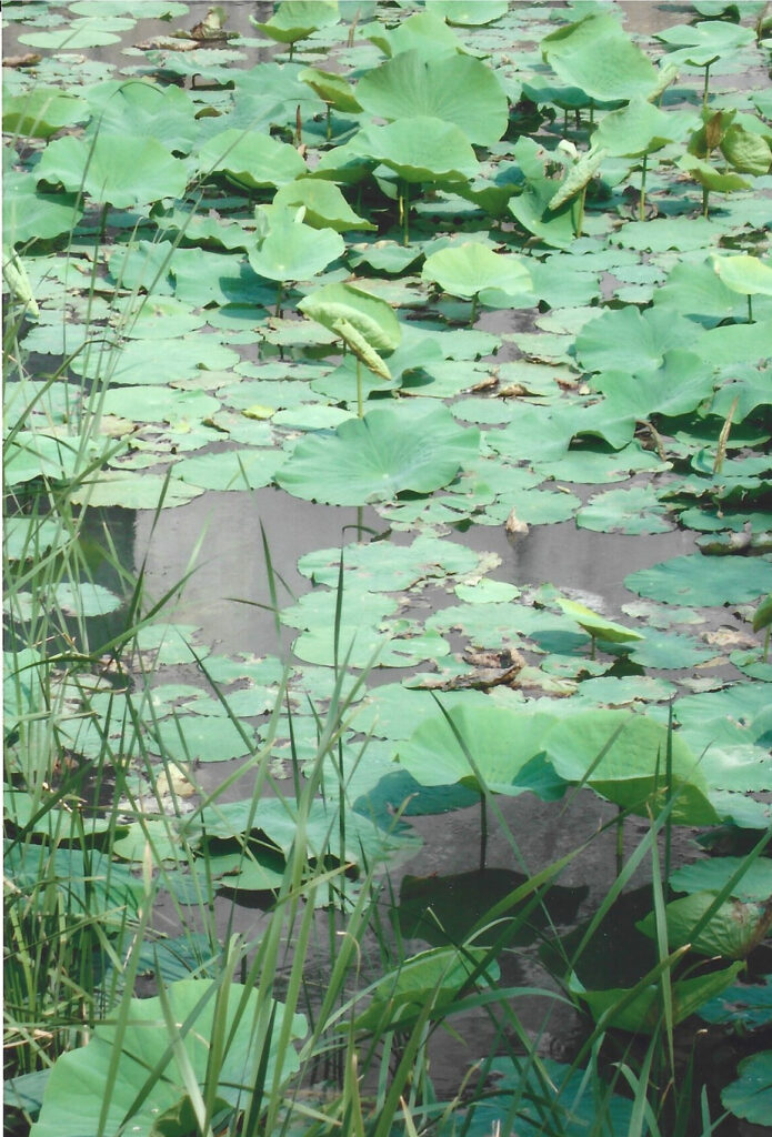 354aaf88-4bcf-46f9-8248-e7e646de07d2