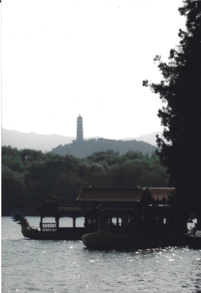 519a8146-83d8-4f14-ac42-1e54757eee71