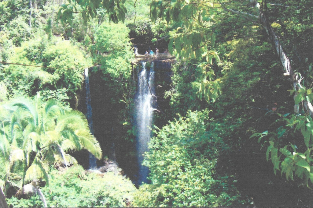 14239645-81f3-4cef-92a5-28b732a7b50a